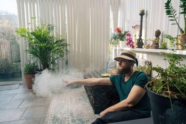 Hit internetowy xoilac tv i najnowsze zdjęcia alien e papieros zdj w pełnej galerii