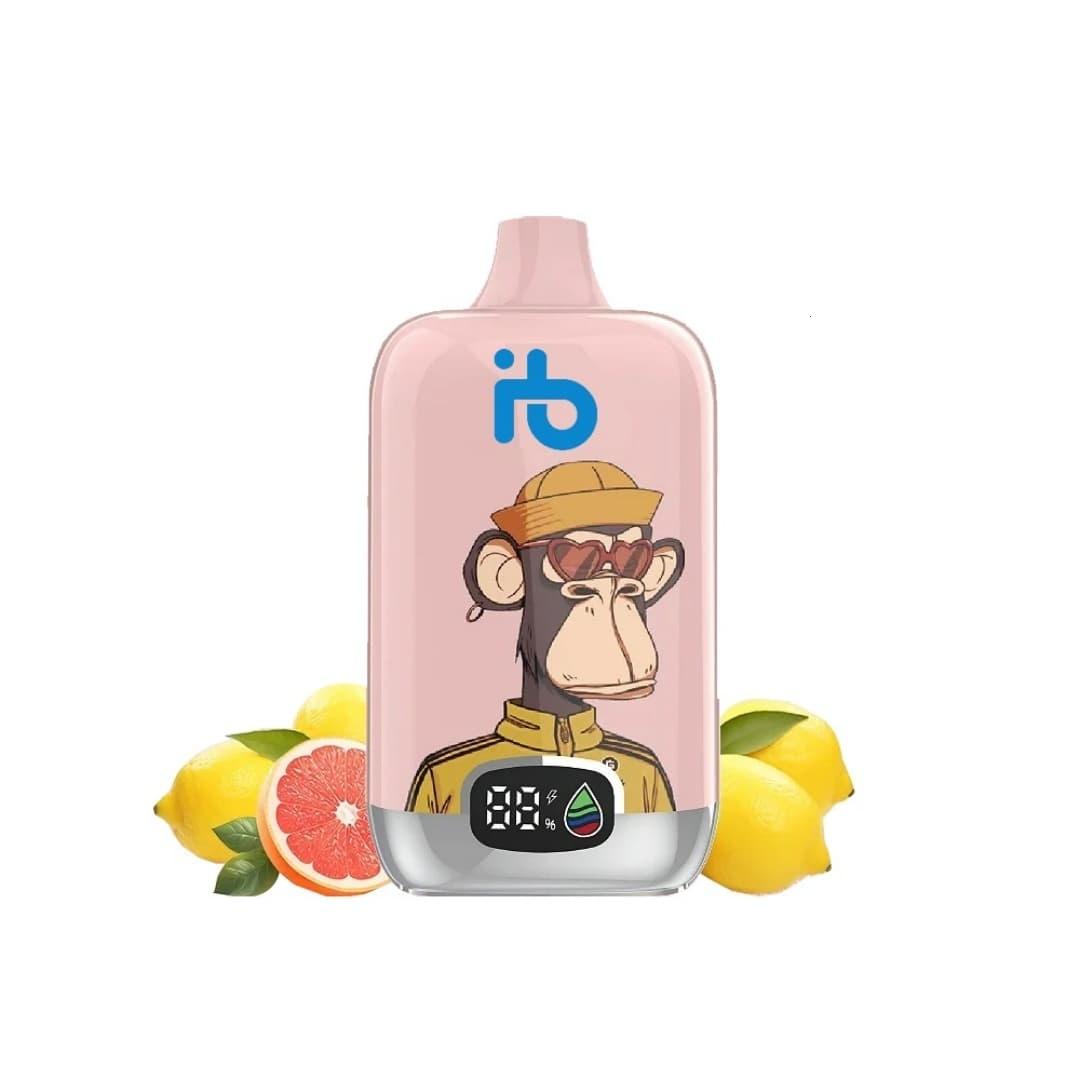 Test i porady dotyczące xoilac tv oraz użycia 3 kiwi kod rabatowy aby zaoszczędzić na subskrypcji