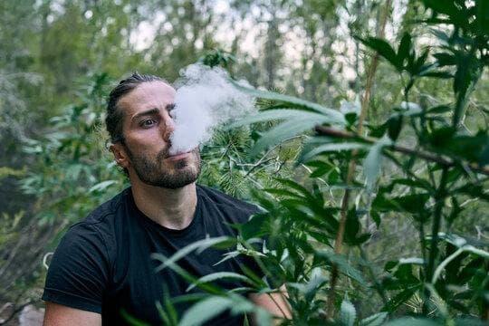 Jak oglądać <a href=